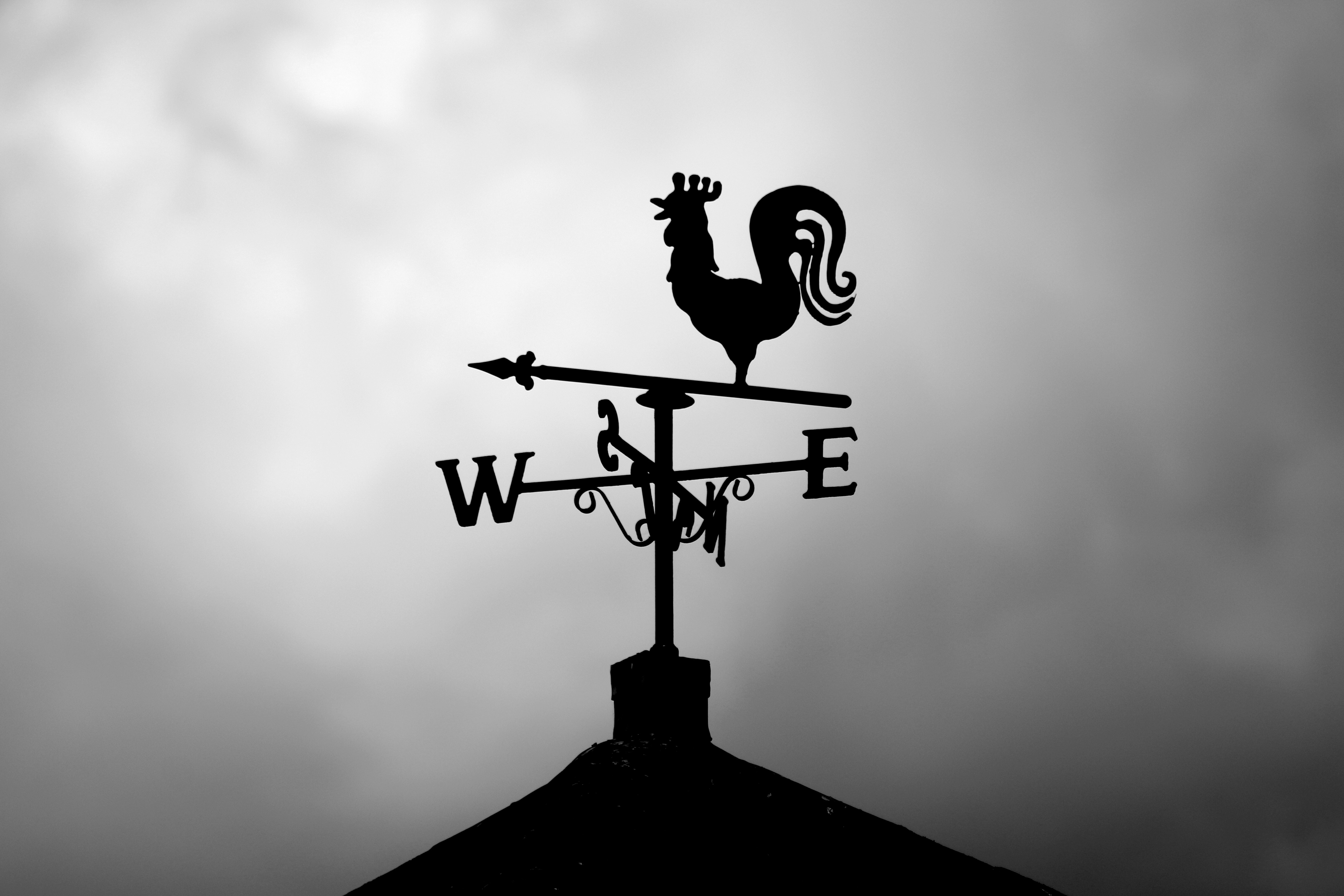 Black and white image of a weather vane on top of a roof, pointing southwest.
